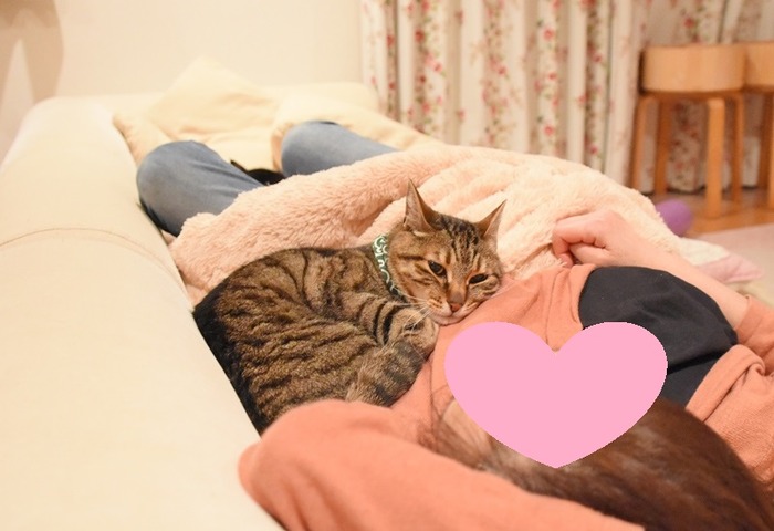 DSC_4741 (2)