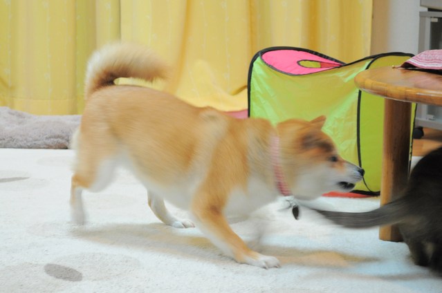 d8117b0f.jpg
