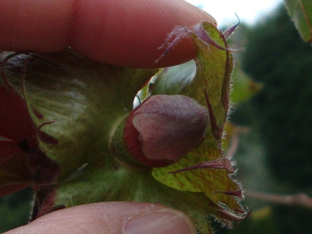 d836e865.jpg