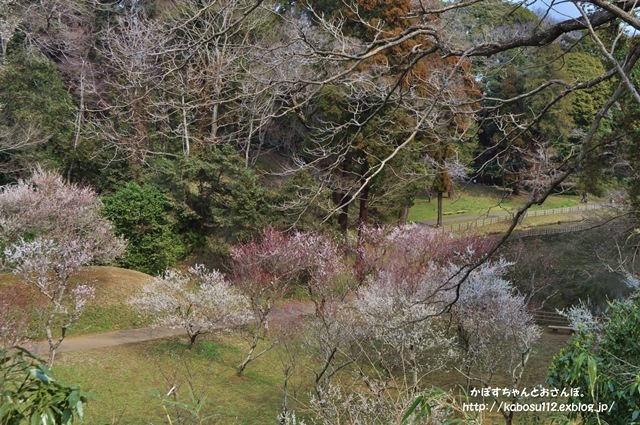 d87a7ec1.jpg