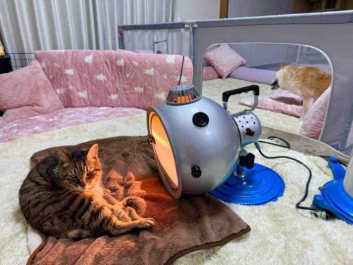 FullSizeRender