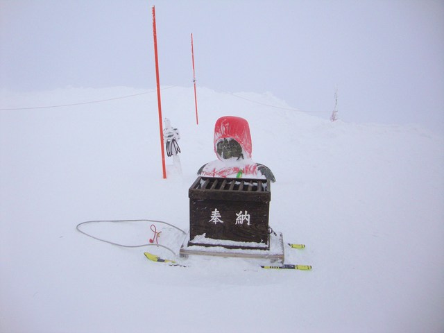 de65581d.jpg