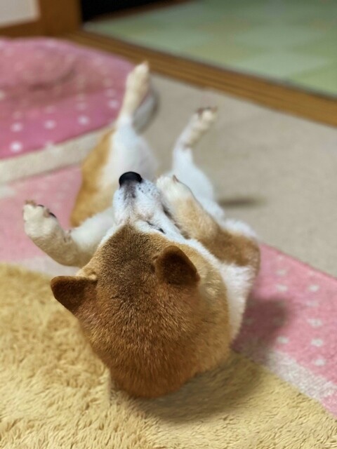 ファイル_001 (1)