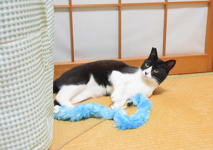 DSC_8987 (2).jpgxx