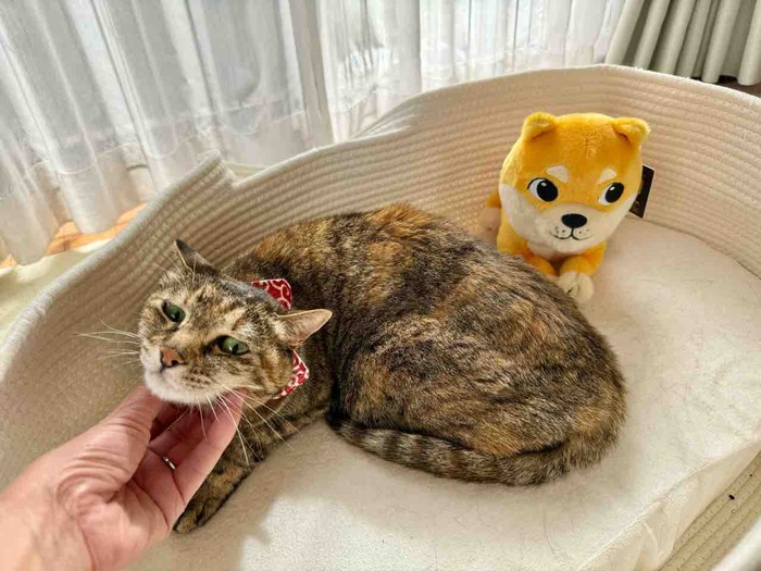 FullSizeRender
