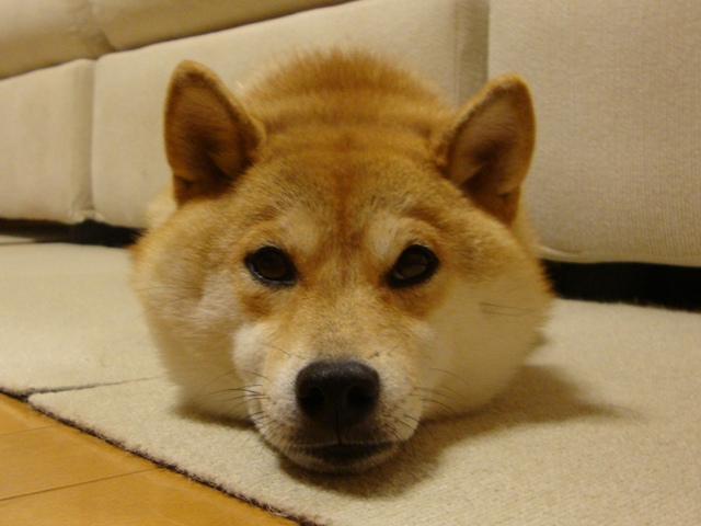 e560e52c.jpg