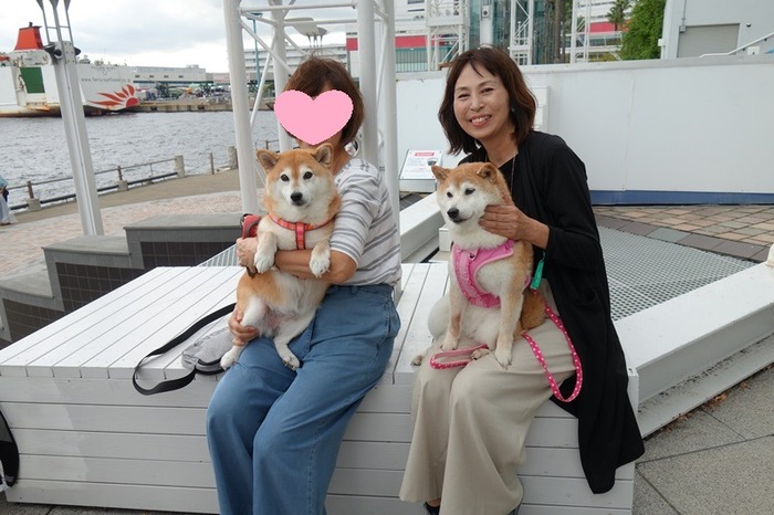 DSC04020
