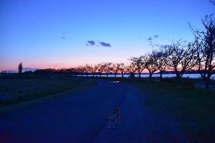 DSC_7100 (2)