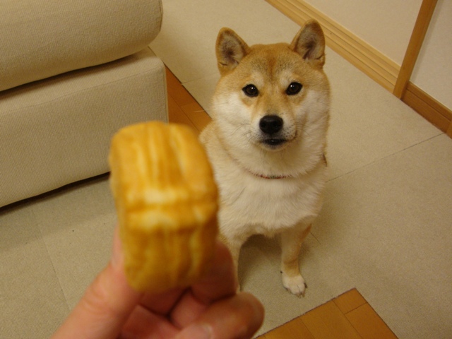 e9168d8e.jpg