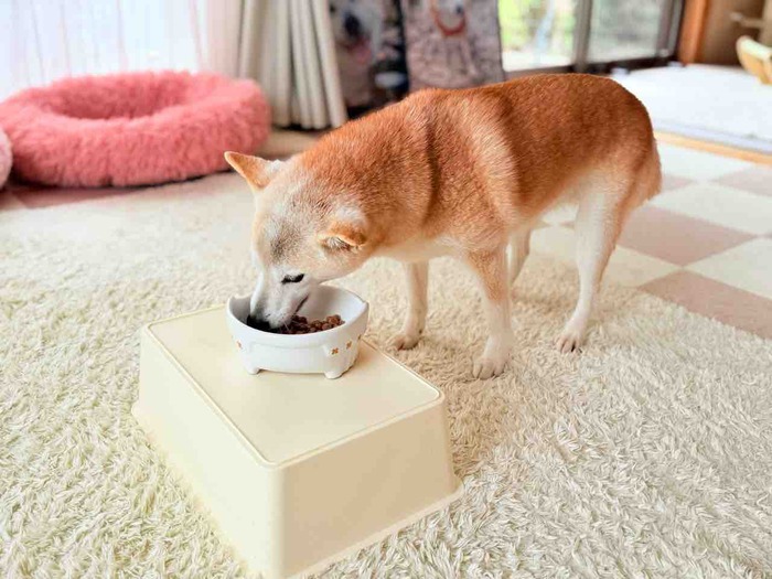 FullSizeRender