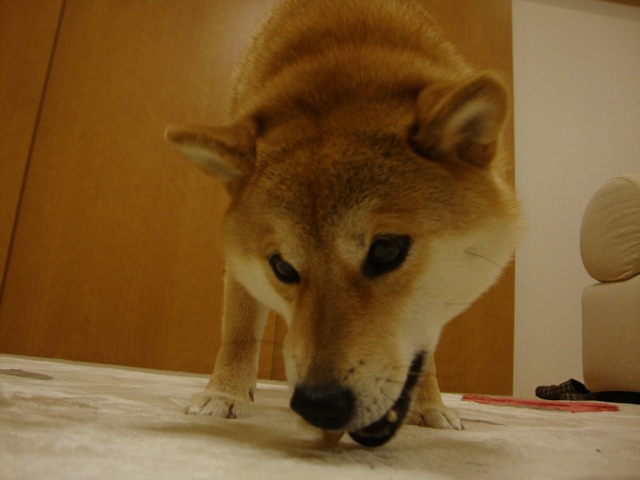 ebfa7346.jpg