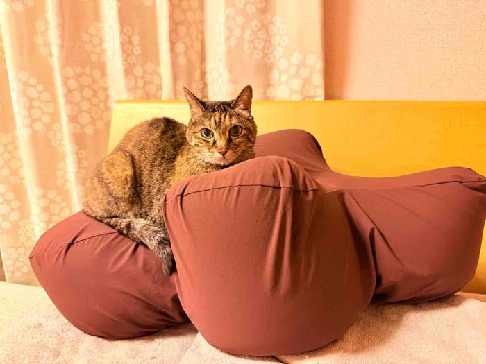 FullSizeRender