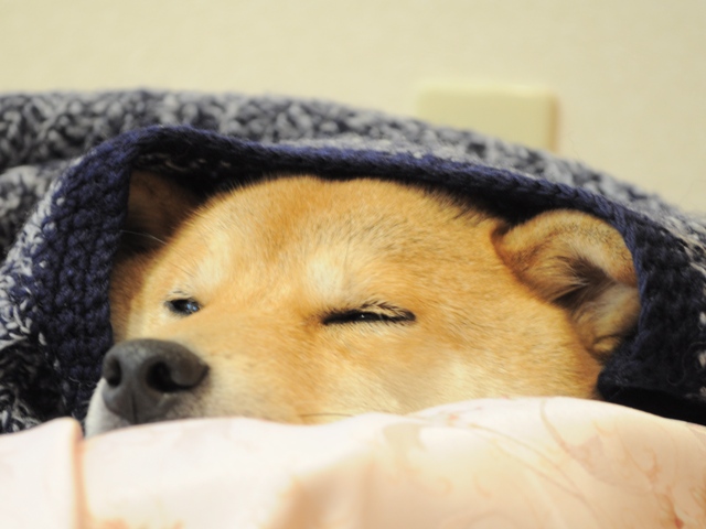 ed5d03c7.jpg