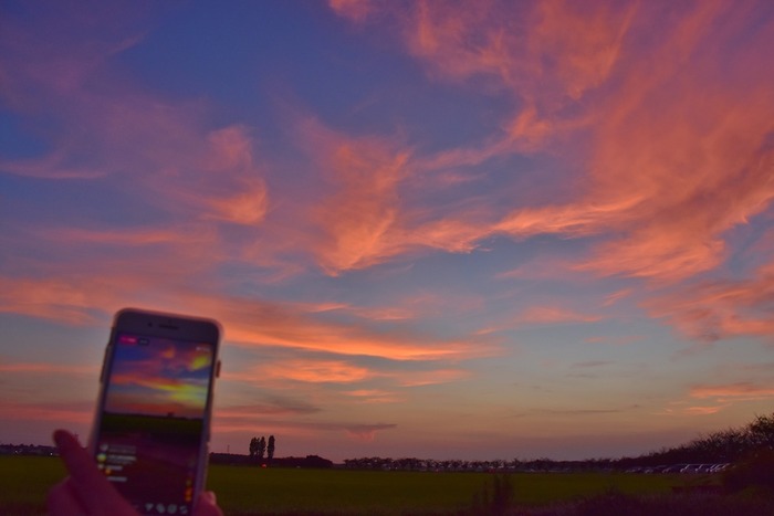 DSC_1073 (2)