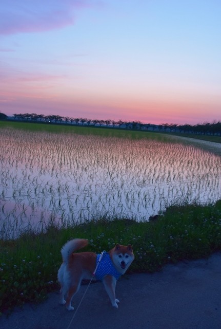 DSC_7995.jpgxx