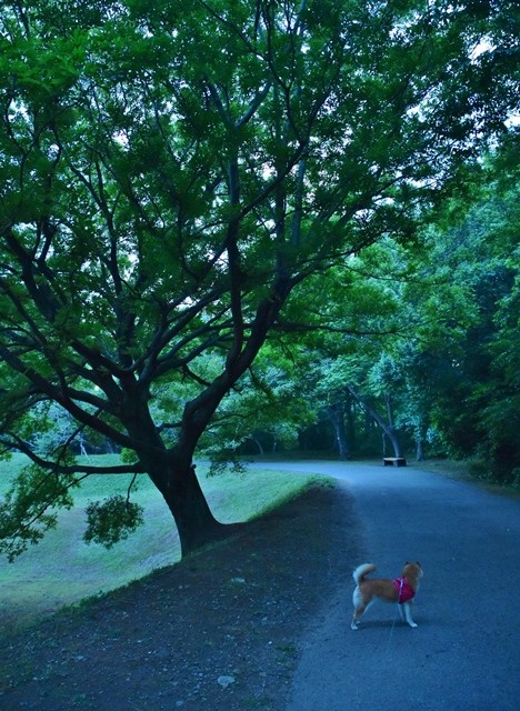 DSC_5747 (2).jpgxx