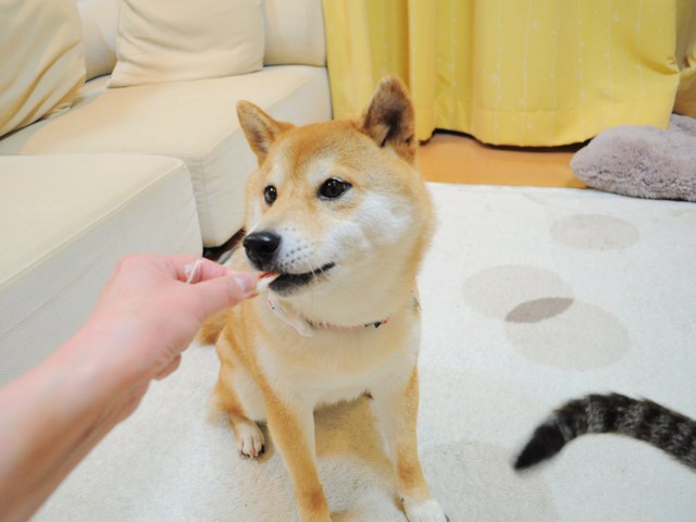 ef5b73c7.jpg