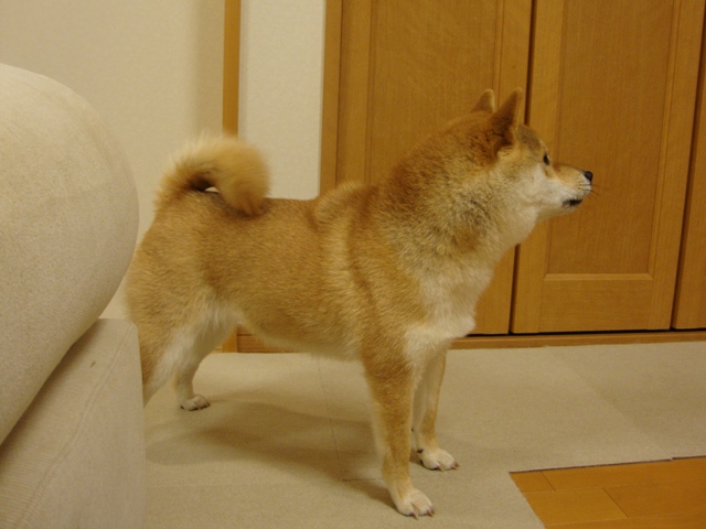f00e5c50.jpg
