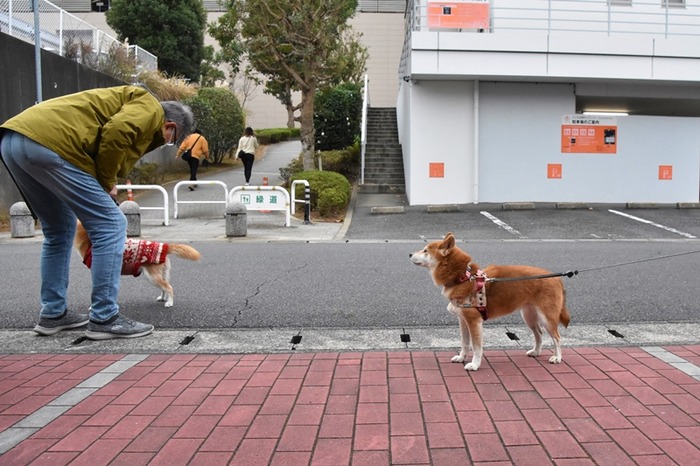 DSC_9813 (2)