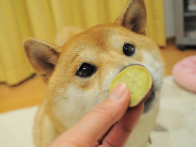 f0c4edcf.jpg