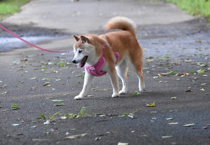 DSC_5023