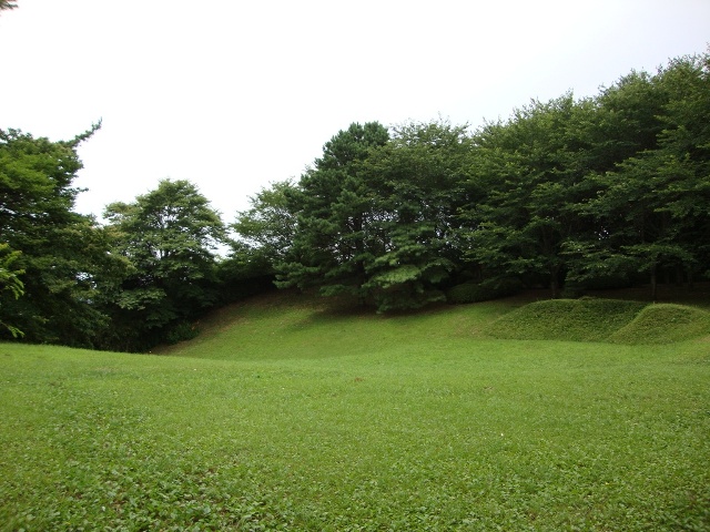 f503c3c9.jpg