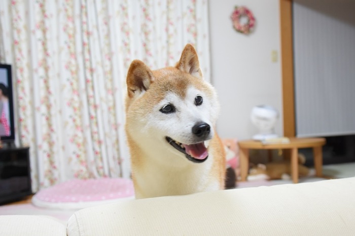 DSC_4189 (2)