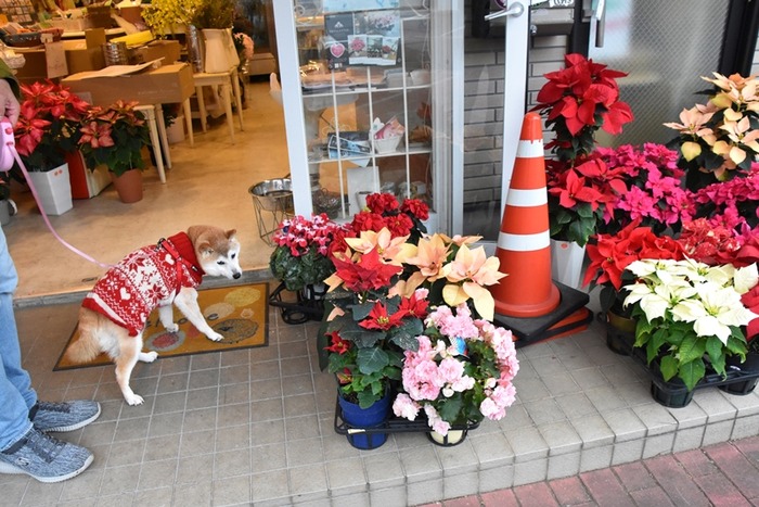 DSC_9814 (2)