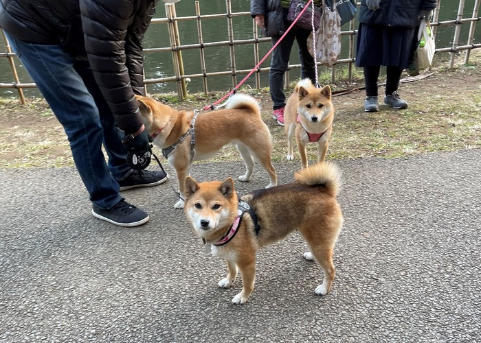 ファイル_004 (1)xx