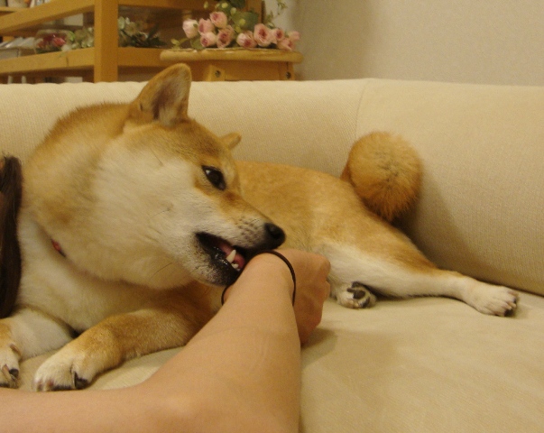 fe1fe1e8.jpg