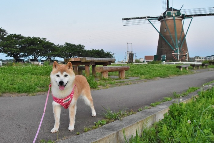 DSC_7348 (2)