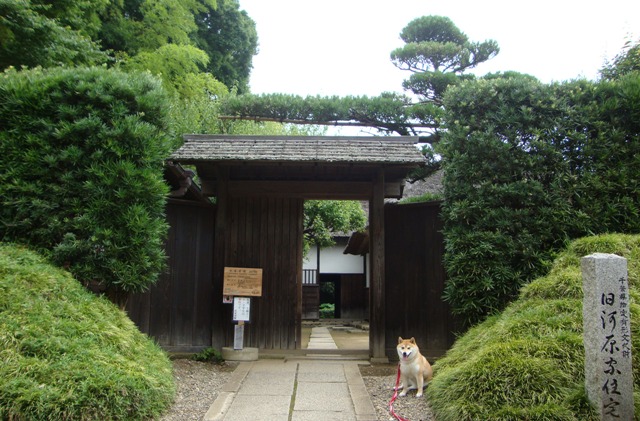 fe8214d5.jpg