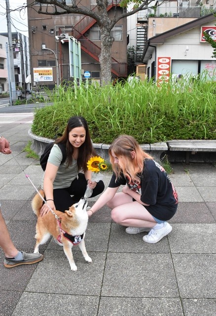 DSC_8009 (2)