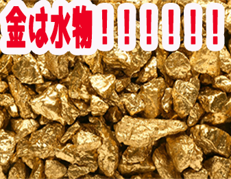 金は水物!!!!!!