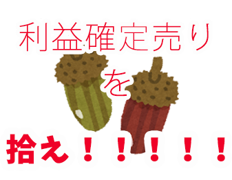 利益確定売りを拾え!!!!!