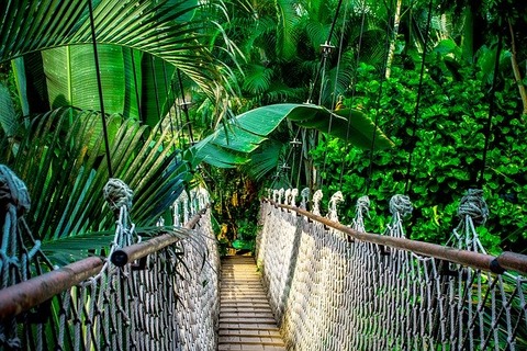 suspension-bridge-959853_640