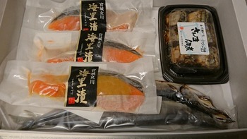 コバンザメの株日記