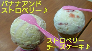 コバンザメの株日記