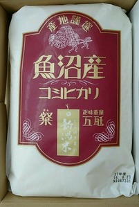 コバンザメの株日記