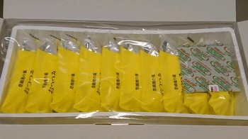 コバンザメの株日記