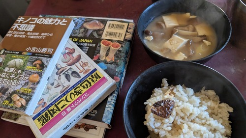 PXL_20251020_051731684.MP