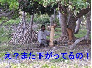 森で株をやる人