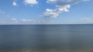 IMAG3682