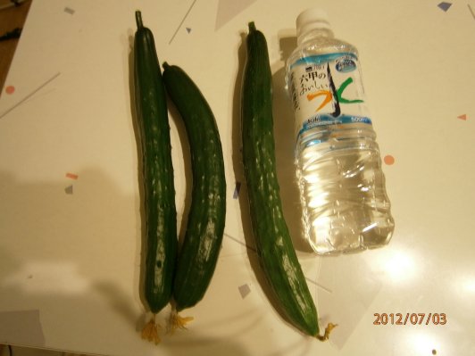 P7030029