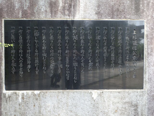 P5204246