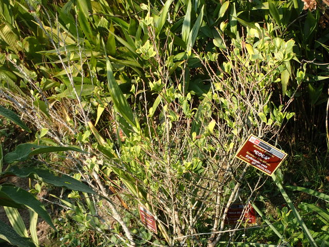 P9124031