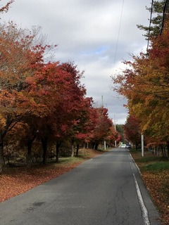 9E4F4DFD-F5E1-426A-8E84-081142DBD18D