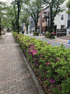 7C08041E-5AAF-4541-A4CB-6CCADE276FA3