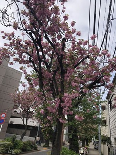 145E29D5-D0A5-41ED-96F7-FE2348541096