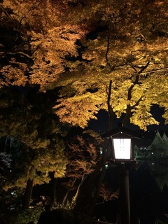 BB0A406F-9D28-4AE5-BD1D-4C01A59A923A